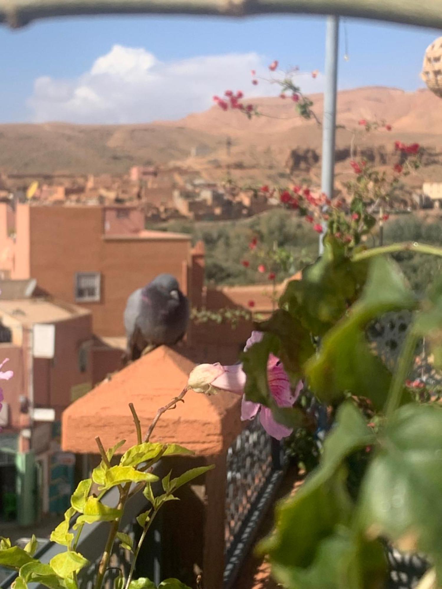 Hotel Riad Atlas Dades Boumalne エクステリア 写真
